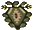 Head of Cabbage